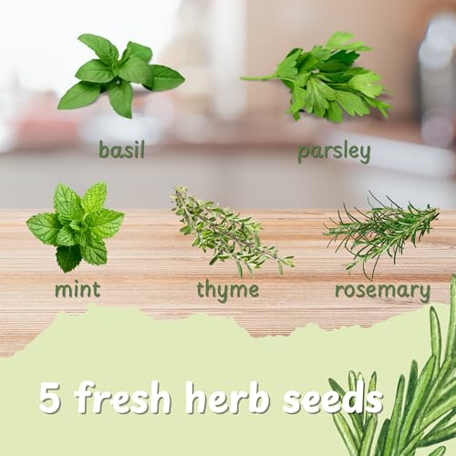 Herb Indoor Garden Kit (Basil, Parsley, Mint, Thyme, Rosemary)