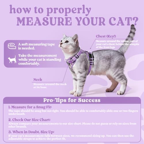 Cat Harness and Leash Set (S / Purr-ple Daisy)
