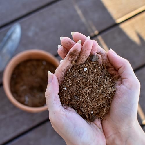 Tropical House Plant Potting Mix (2 Quarts)