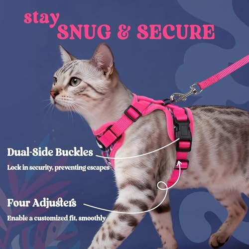 Cat Harness and Leash Set (Xxs / Coconut Fuchsia)