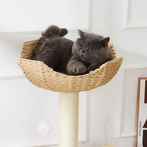 18" Large Cat Tower Tree Add ons Accessories Replacement Part Basket Bed (17.7” / 1PC)