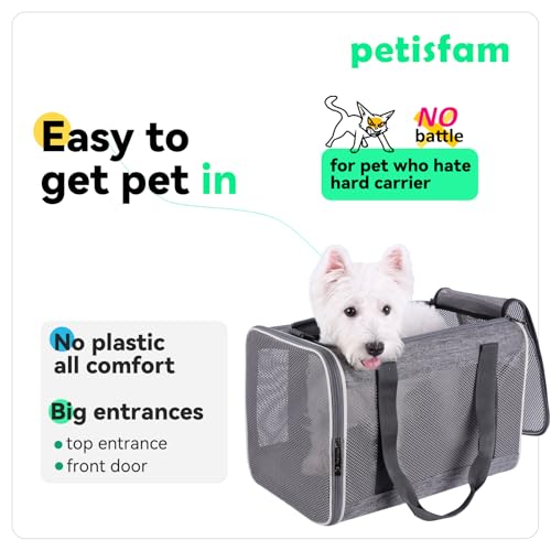 Soft Pet Carrier Bag for Cats and Puppy Under 20 lbs. Sturdy (Grey)