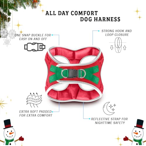 Comfort Fit Step (M (Chest 17"-18.5") / Christmas Red)