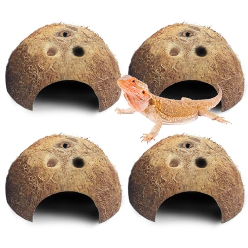 Natural Coconut Reptile Hideouts Lizard (Natural Surface / 4 PCS)