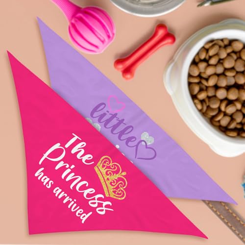 Puppy Bandana 2 Pcs (Sassy)