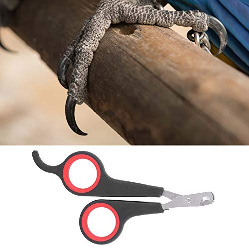 Animal Nail Scissors