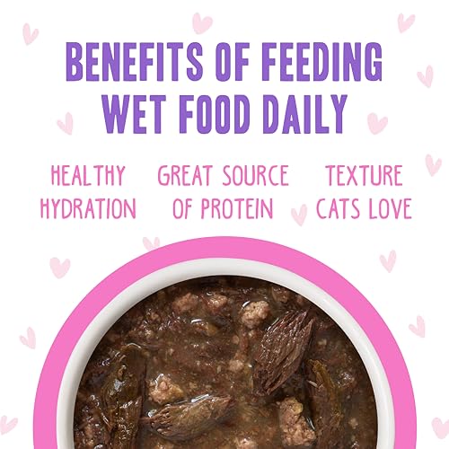 B.F.F. OMG Best Feline Friend Oh My Gravy! (3 Ounce (Pack of 12))