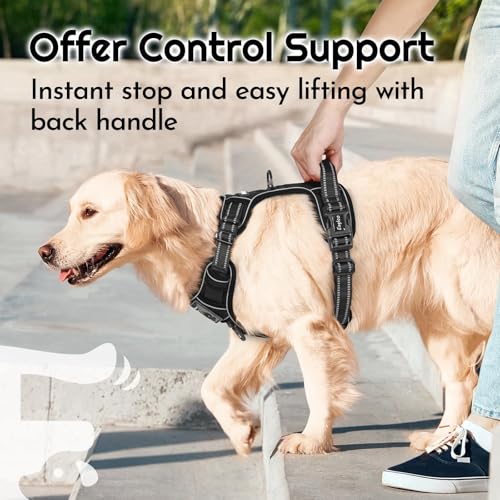 Dog Harness No Pull for Small Dogs (Small / Black)