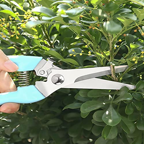 Premium 2PCS Pruners (Blue)