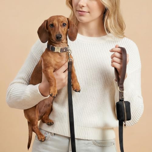 PU Leather Dog Collar for Small Dogs Puppy (Black / S: Neck 11-15", Width ⅝")