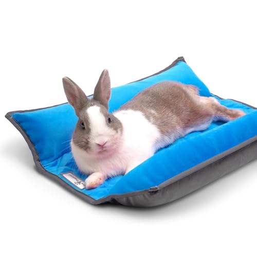 Snuggle Bunny Bolster Bed (Gray/Blue)