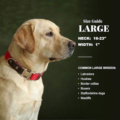 PU Leather Dog Collar for Large Dogs (Red / L: Neck 16-23", Width 1")