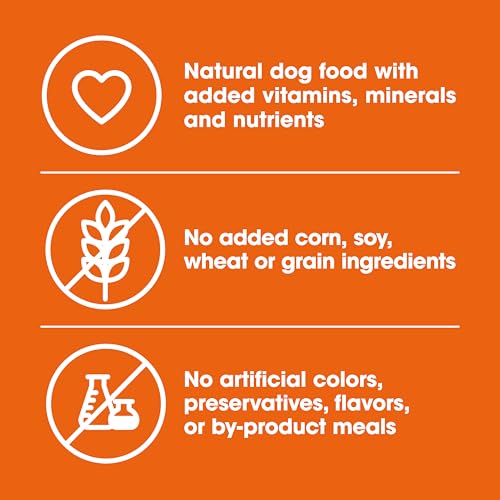 Nature’s Recipe Grain Free Wet Dog Food Chicken