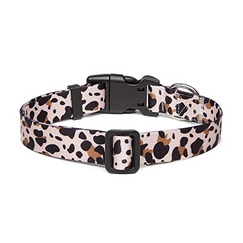Adjustable Dog Collar (Small / Leopard)