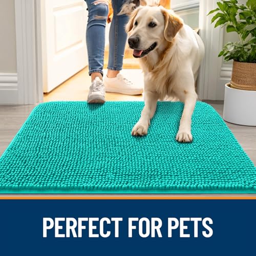 Dog Door Mat for Muddy Paws 59x35 (Teal / 59" X 35")