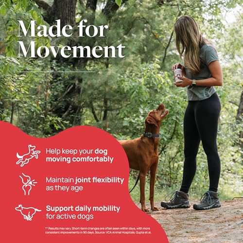 Smart Vitality Hip & Joint Supplement (60 ct / Hip & Joint)