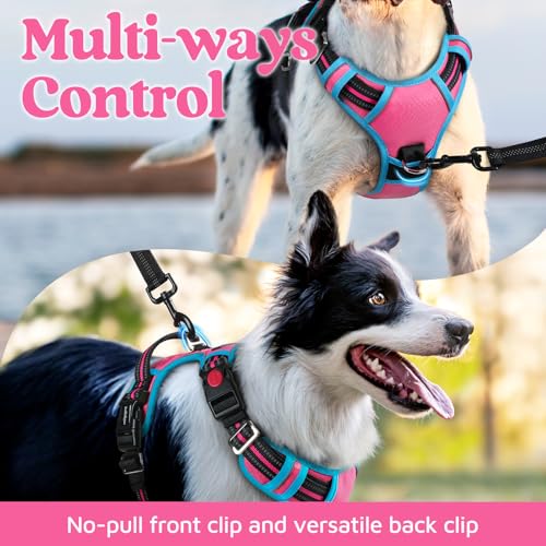 Dog Harness Small Sized (Pink & Blue / Small)