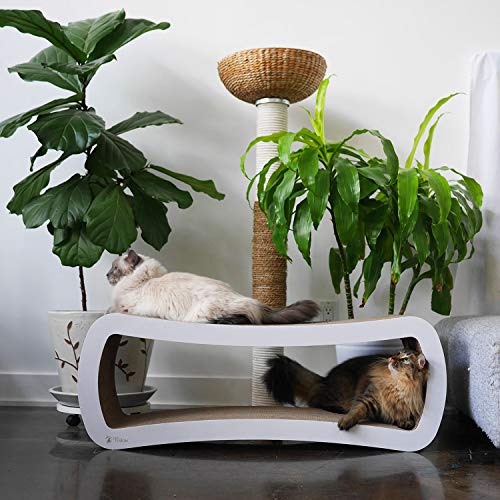Jumbo Cat Scratcher Lounge