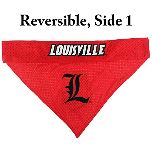 Collegiate Pet Accessories (Large/X-Large / Louisville Cardinals)