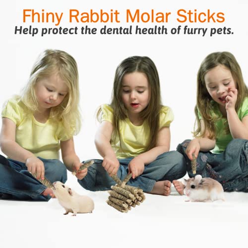 18 PCS Guinea Pig Chew Toys