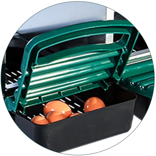 Chicken Nesting Box (Green- 6 compartment with legs)