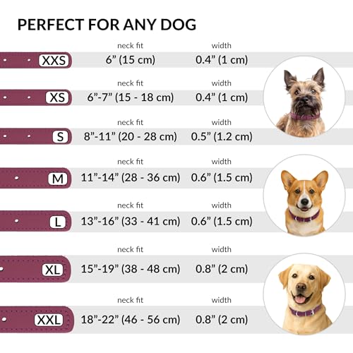 Tangle Free Rolled Leather Dog Collar (Pink / L)