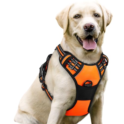 Dog Harness No Pull for Large Dogs with 2 Leash Clips (Large / Orange)
