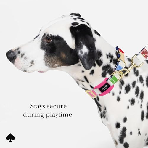 Airtag Dog Collar Holder