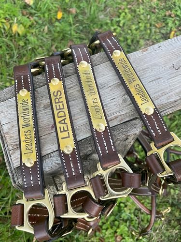 Leaders Leather Halter for Horses with Customized Engraved Name Plate Option Halter for Horse (Cob Size)
