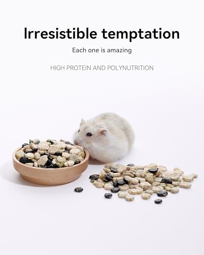 Hamster Snack & Treats Toy
