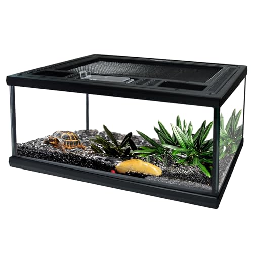 Reptile Glass Terrarium Tank 12"*8"*6" (12*8*6inch)