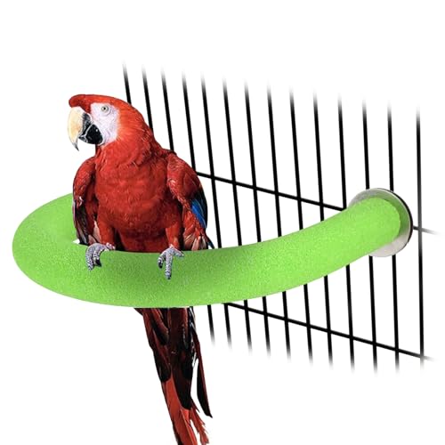 U Shaped Large Parrot Perch (X-Large / Green)