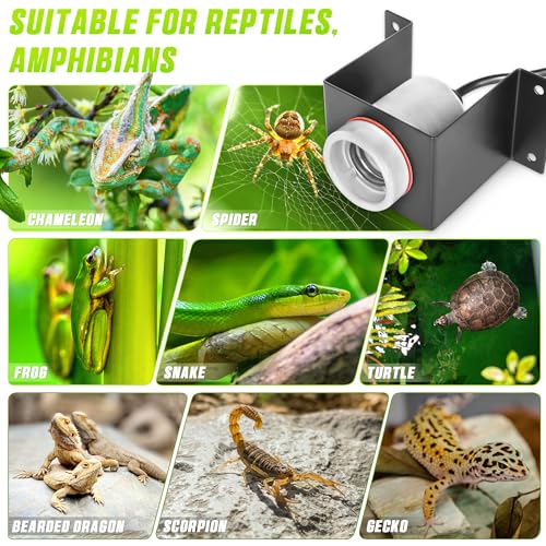 Reptile Ceramic Socket