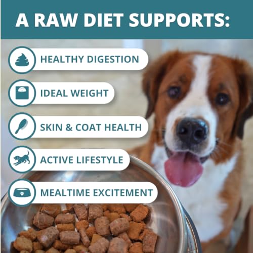 Freeze Dried Raw Dog Food Nuggets
