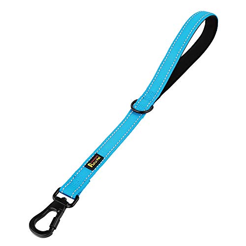 Short Training Dog Leash with Padded Handle for Medium Large Big Dogs (Blue / 18 Inch (Pack of 1))