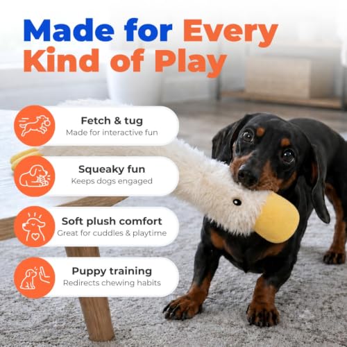 Interactive Squeaky Dog Toy (Crinkle Duck (White) / Large)
