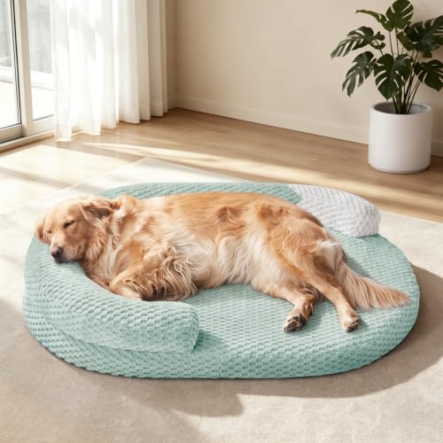 XL Orthopedic Dog Beds Large Sized Dog (Green / XL(42"x 32"x 7"))