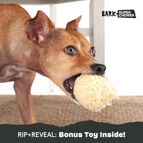 Potato Super Chewer (Smash Potato)