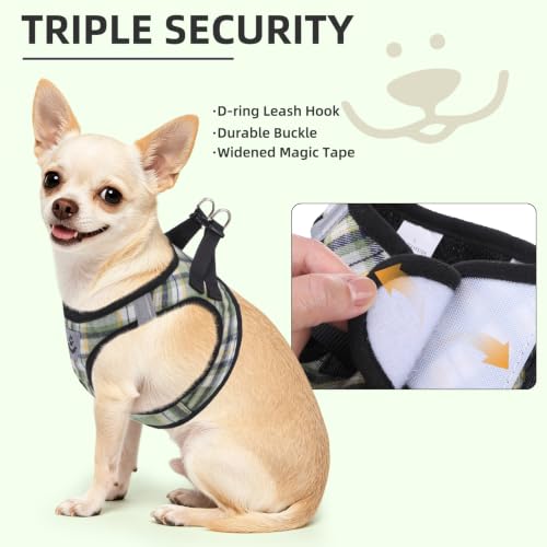 Dog Harness Collar and Leash Set No Pull for Small Medium Sized (Yellow Green / M (CHEST 16"-18"))