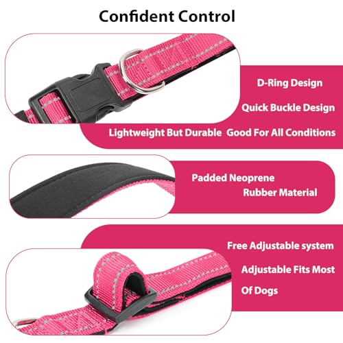 Reflective Dog Collar (Hop Pink / XS:width 5/8"neck 8-10.5")