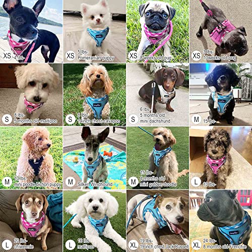 Dog Harness with Leash Set (L / Beige)
