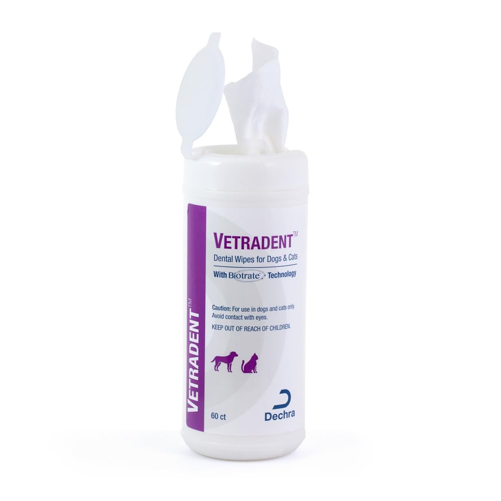 Dental Wipes 60 ct (60ct / White)