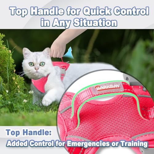 Cat Harness and Leash Set Escape Proof for Kitten Walking (Medium / Pink)