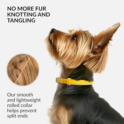 Tangle Free Reflective Leather Dog Collar (Yellow / S)