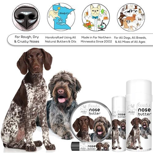 German Shorthaired Pointer Unscented Nose Butter (German Shorthaired Pointer / 4 Ounce)