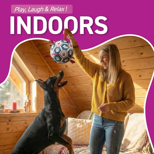 Large Outdoor Dog Toy (Blue-Red / Ultra Large Size 7 (10 Inch))