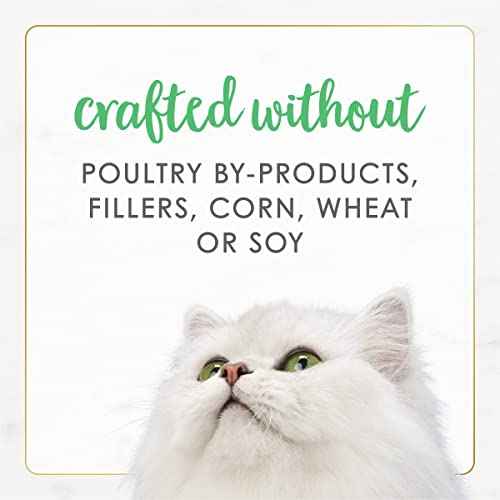 Purina Fancy Feast Grain Free Pate Wet Kitten Food Gourmet Naturals White Meat Chicken Recipe (3 Ounce (Pack of 12))