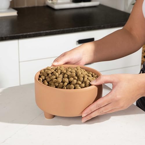 Uplift Elevated Ceramic Dog Bowl (Large / Clay)