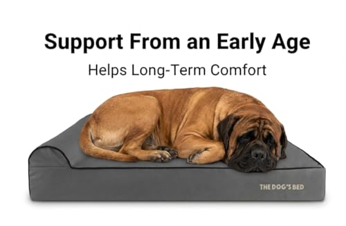The Dog’s Bed Orthopedic Memory Foam Dog Bed with Headrest XXL 6 (Grey with Black Trim / XXL (54"L x 36"W x 6"Th))