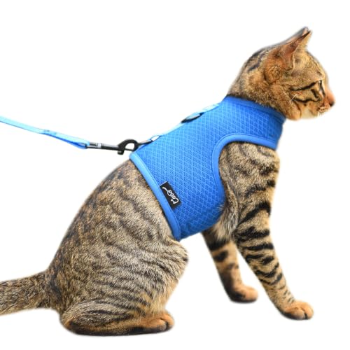 Cat Harness and Leash Set for Walking Escape Proof (Blue / Xxl 19-26 lbs)